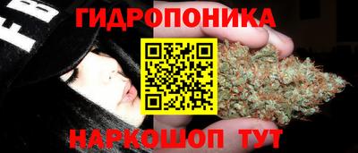 мяу мяу мука Брянск
