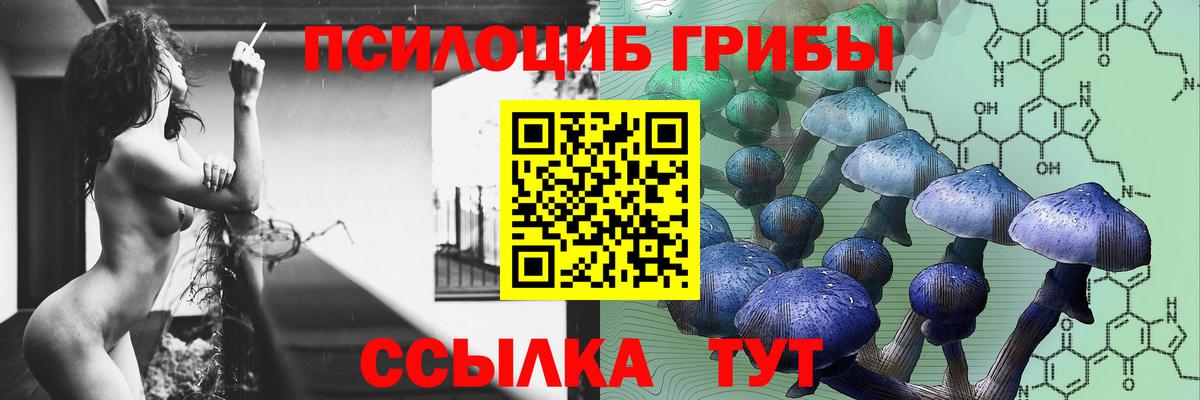 Псилоцибиновые грибы мицелий  Вход с VPN  Гудермес 